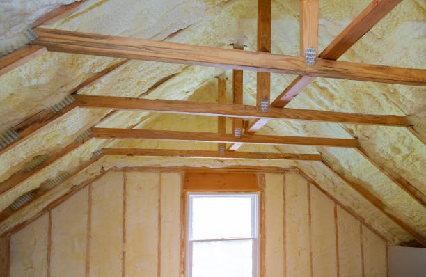 Best Cellulose Insulation in La Vernia, TX