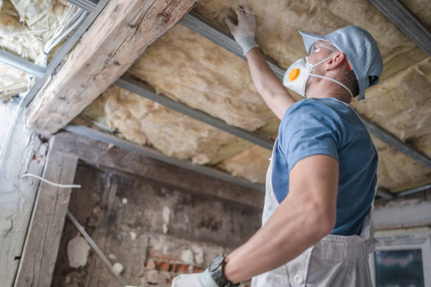 Best Blown-in Insulation in La Vernia, TX