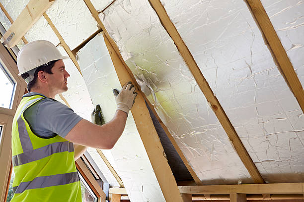 Best Eco-Friendly Insulation in La Vernia, TX
