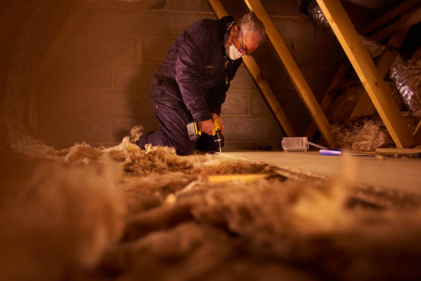 Best Insulation Maintenance and Repair in La Vernia, TX